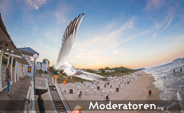 Moderatoren.org in Mecklenburg-Vorpommern